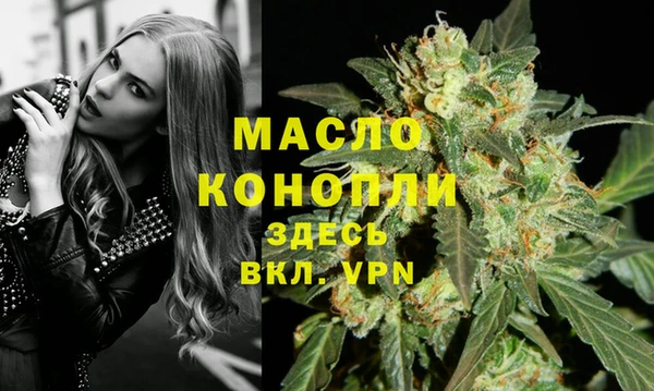 метадон Каменка
