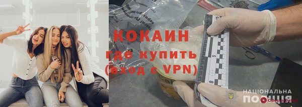 гашик Тында