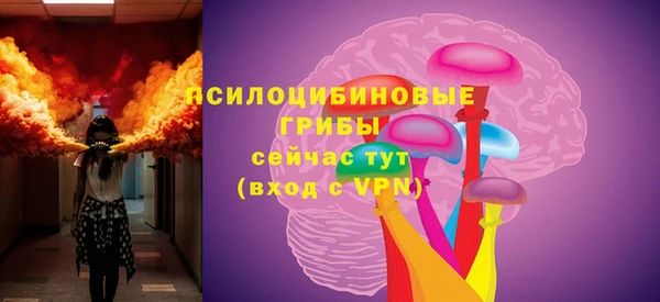 метадон Каменка