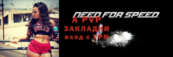 метадон Каменка