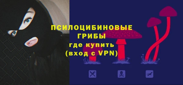амф Туринск
