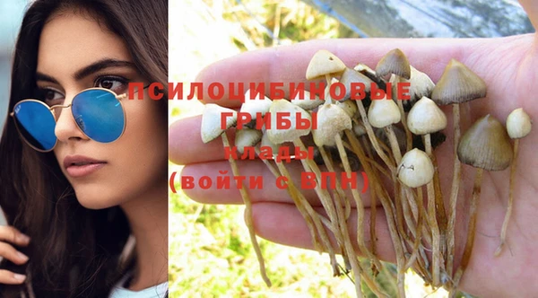 гашик Тында