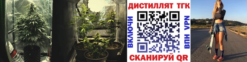 Купить где  Нижняя Салда  Дистиллят ТГК Wax 
