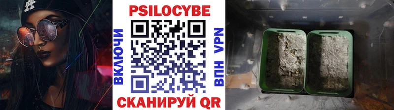 Псилоцибиновые грибы GOLDEN TEACHER Купить Нижняя Салда